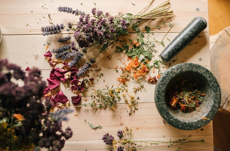 Plantas Medicinales